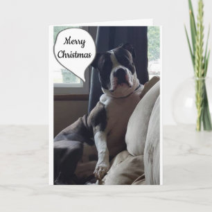 CARTÃO DE FESTIVIDADES HORA MARAVILHOSA DO ANO **NATAL DO MERCADO"