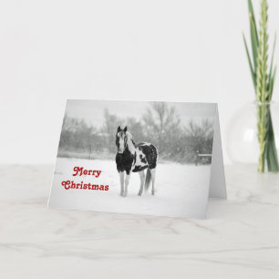 Cartão De Festividades Horse Black and White Snow Photo Christmas
