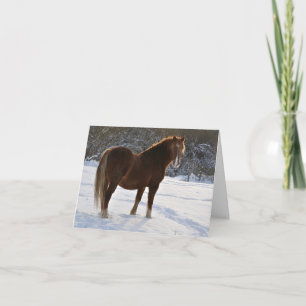 Cartão De Festividades Horse in the snow Xmas card