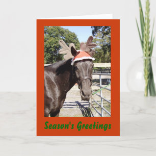 Cartão De Festividades Horsey Season's Greetings