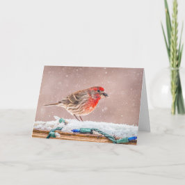 Cartão De Festividades House finch with seed Christmas Card