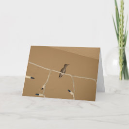 Cartão De Festividades Hummingbird