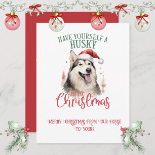 Cartão De Festividades Huskey Natal Caprichoso  