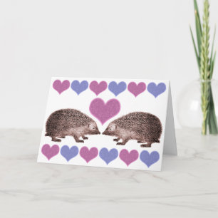 Cartão De Festividades I Love Hedgies Hedgehog Valentine's Day Card