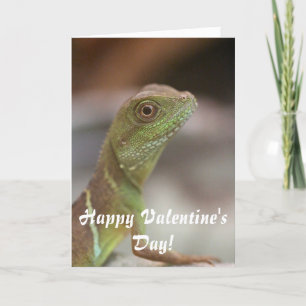 Cartão De Festividades Iguana kiss Valentine's  day