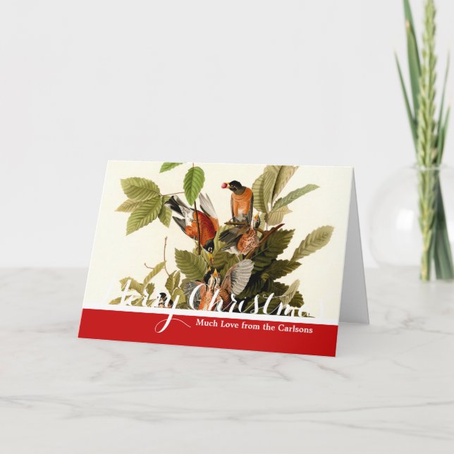 Cartão De Festividades Ilustração de Pássaros Robin Wildlife da América d (Frente)