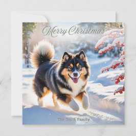 Cartão De Festividades Imagem Estilosa de Cão Lapphund Finlandês na Neve