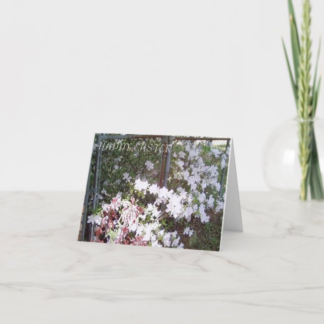 Cartão De Festividades Imagens de MClairArt em placas de Páscoa de arte (Frente)