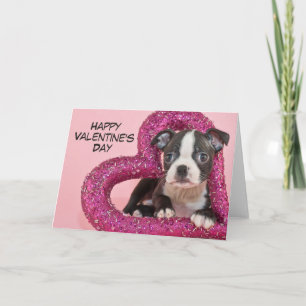 Cartão De Festividades Imagens Getty   Puppy Love
