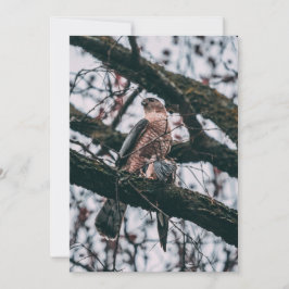 Cartão De Festividades Impressão de Fotografia Hawk