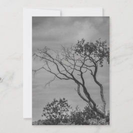 Cartão De Festividades impressão em foto estilizada da árvore gótica amer