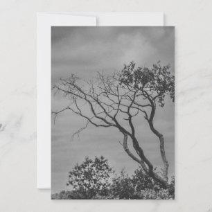 Cartão De Festividades impressão em foto estilizada da árvore gótica amer