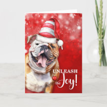 Inglês Bulldog Liberta o Natal da Alegria