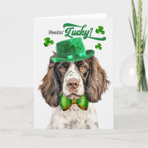 Cartão De Festividades Inglês Springer Dog Lucky Dia de São Patrício