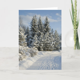 Cartão De Festividades Inverno