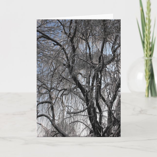 Cartão De Festividades Inverno ~ 24 (Frente)