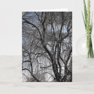 Cartão De Festividades Inverno ~ 24