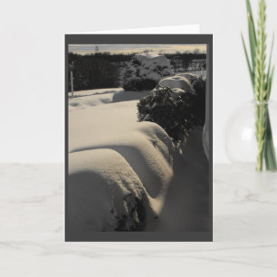 Cartão De Festividades Inverno ~ 29