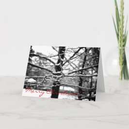 Cartão De Festividades Inverno [Cartão de Natal]