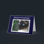 Cartão De Festividades Inverno do Natal do gato Siamese<br><div class="desc">Olhos azuis impressionantes neste gato Siamese do ponto do selo projetado com flocos da neve e cristais de gelo para a época natalícia do Natal!</div>