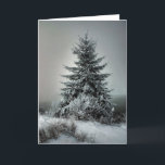 Cartão De Festividades Inverno majestoso<br><div class="desc">uma linha árvore em uma manhã fria dos invernos</div>