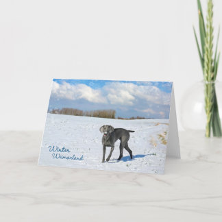 Cartão De Festividades Inverno Weimarland