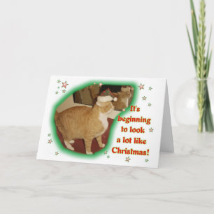 Cartão De Festividades It's Beginning to Look a Lot Like Christmas