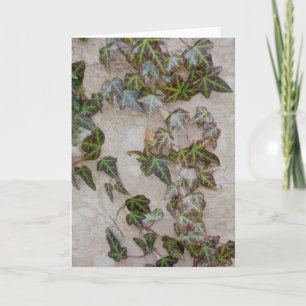 Cartão De Festividades Ivy no tronco da árvore