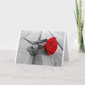 Cartão De Festividades j0440294