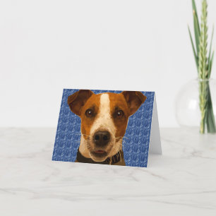 Cartão De Festividades Jack Russel Cosby Card