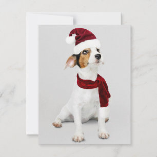 Cartão De Festividades Jack Russel Puppy vestindo Santa Hat