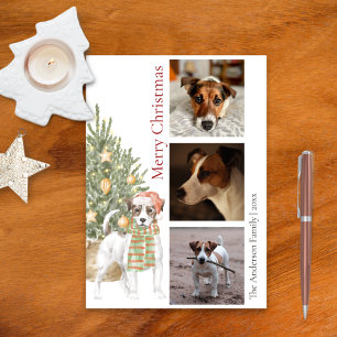 Cartão De Festividades Jack Russell Terrier Christmas Tree Pet Dog Photo