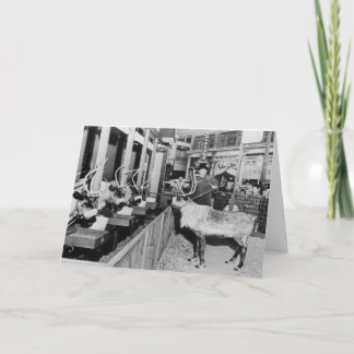 Cartão De Festividades Janela do Natal de Frederick & de Nelson