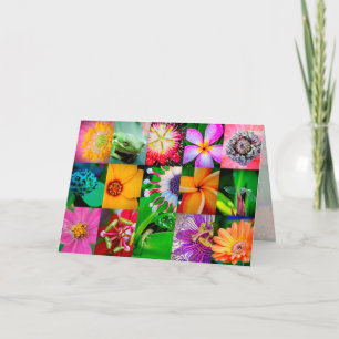 Cartão De Festividades Jardim de Colagem Floral de Flores Todo Vazio de O