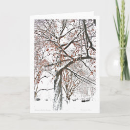 Cartão De Festividades Jardim Público de Boston