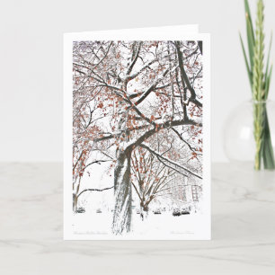 Cartão De Festividades Jardim Público de Boston