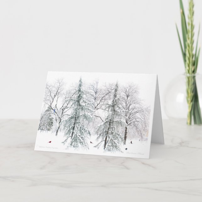 Cartão De Festividades Jardim Público de Boston: Prazeres Simples da Esta (Frente)