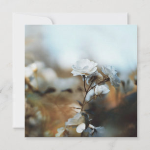 Cartão De Festividades Jardim Sonhador de Rosas Brancas com Bokeh Suave V