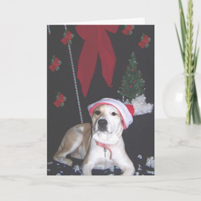 Cartão De Festividades Jerzy-segundo-Natal (Frente)