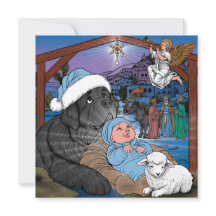 Jesus Menino de Terra Nova