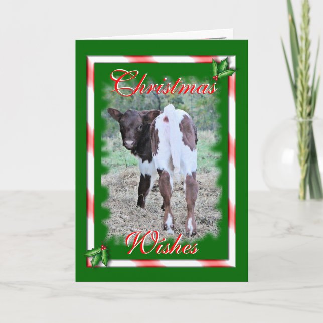 Cartão De Festividades JoleeChristmas-personalize (Frente)