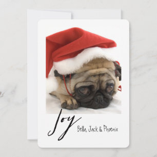 Cartão De Festividades Joy Modern Pet Holiday Card