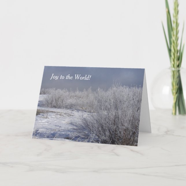 Cartão De Festividades Joy to the World Winter Willows Christmas Card (Frente)