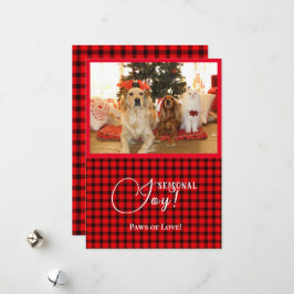 Cartão De Festividades Joy Xmas, Joy Seasonal Cães e Gato Foto Vermelho P