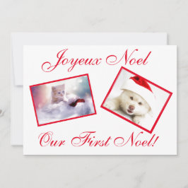 Cartão De Festividades Joyeux Noel Best Friends Pets First Noel Card