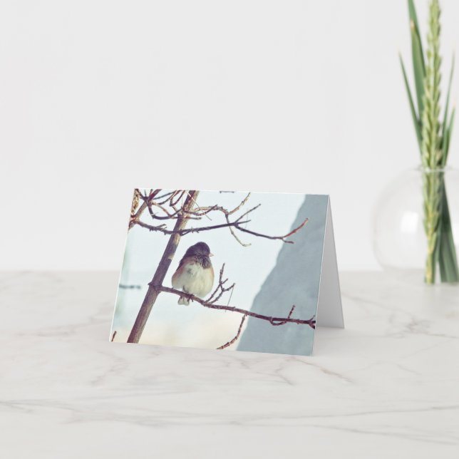 Cartão De Festividades Junco in Montana Winter - 4" x 5.6" Notecard (Frente)