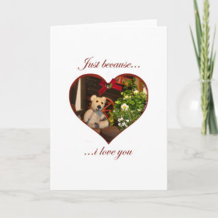 Cartão De Festividades just because card