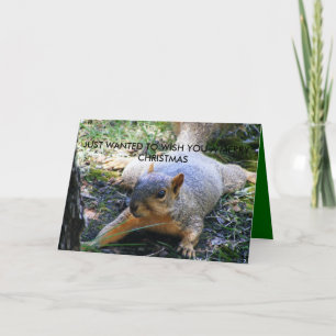 CARTÃO DE FESTIVIDADES JUST WANTED TO WISH YOU A MERRY CHRIS...