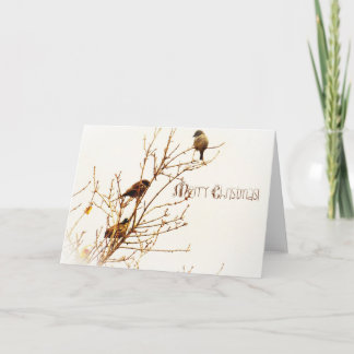 Cartão De Festividades Kerstkaart - Christmas Card - Merry Christmas!