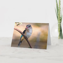 Cartão De Festividades Kingfisher de Woodland, Botsuana